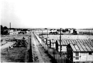 view of numerous barracks, with 2 barbed wire fences