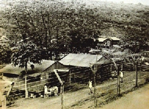 image of camp with barbed wire fence and small buildings